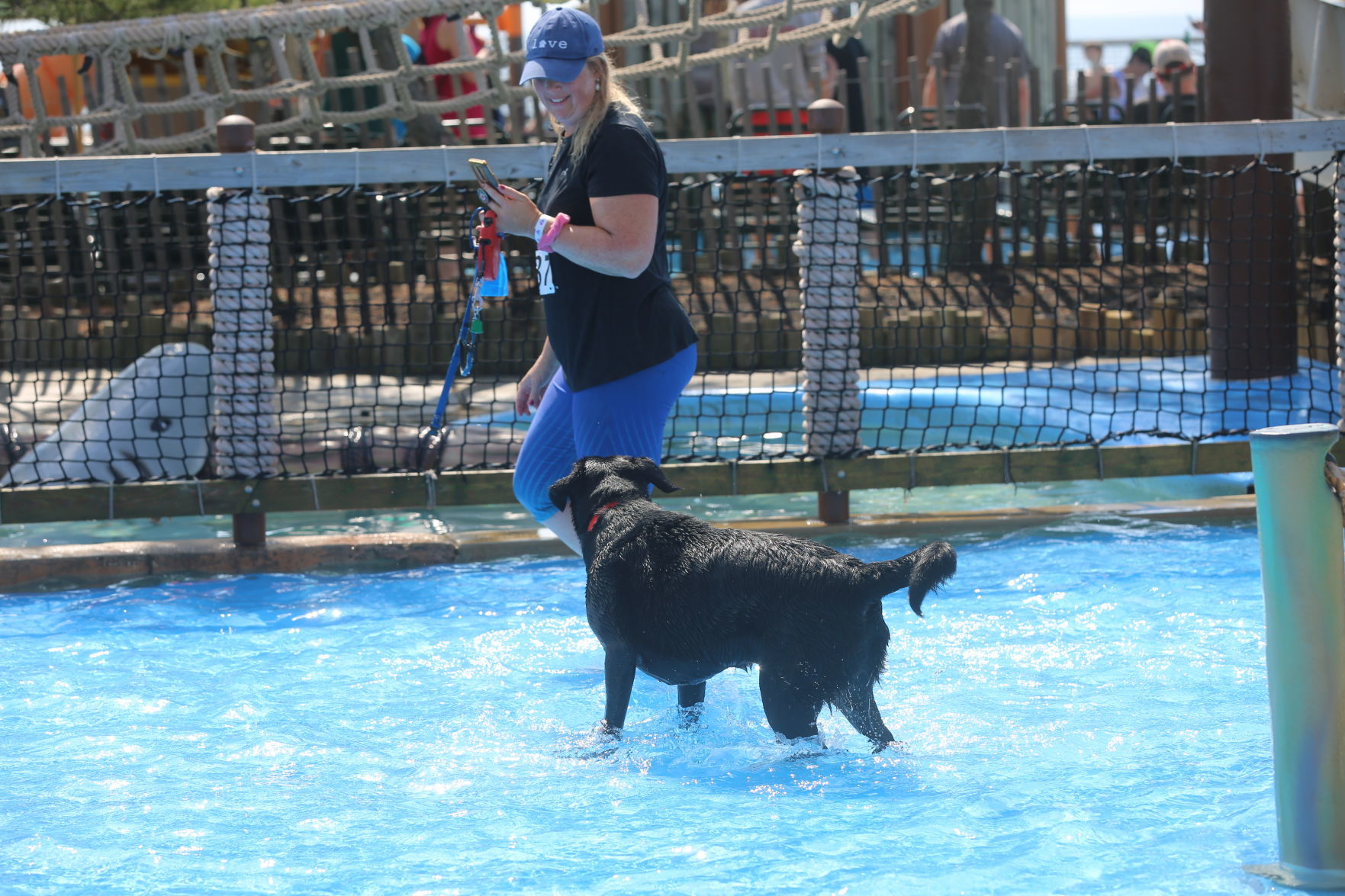 090919_gal_WWdogs (28)